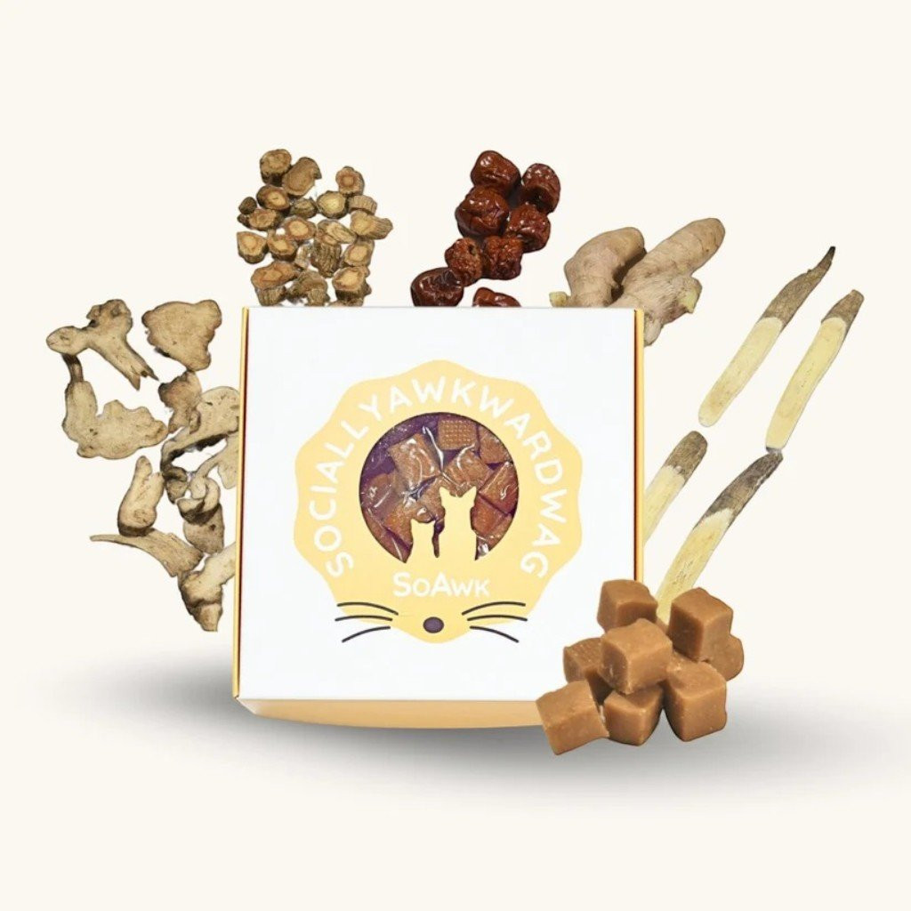 Skin & Coat Care Cubes